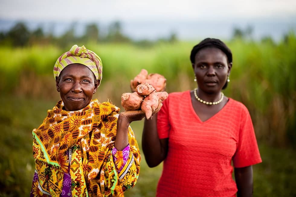 Photo of African women holding up fresh vegetables in a field