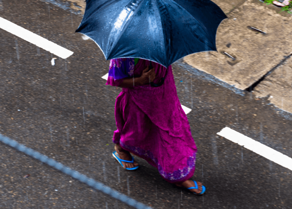 Person Wearing Sari Walking In The Rain Covered By The Umbrella They Are Carrying